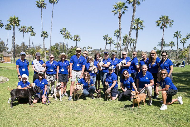 53028733147_2f0d11f4aa_c